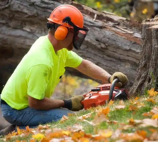 tree services Crescent